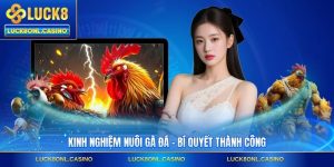 Kinh Nghiệm Nuôi Gà Đá - Bí Quyết Thành Công